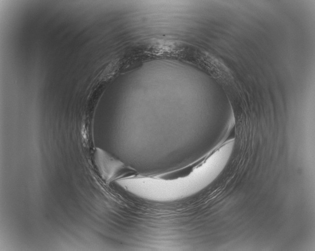 X0000067840607200605041651