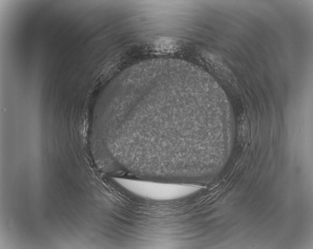 X0000067840608200605041651