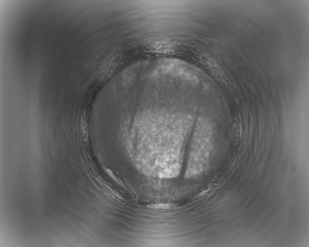 X0000067840609200605041651