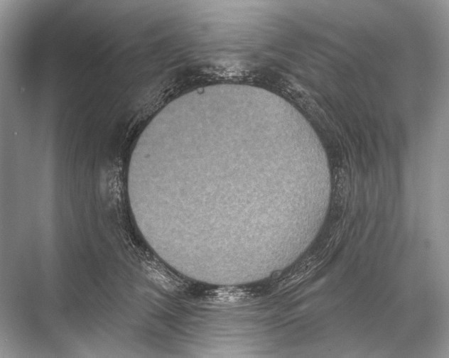 X0000067840612200605041651