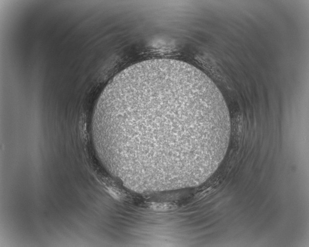 X0000067840615200605041651