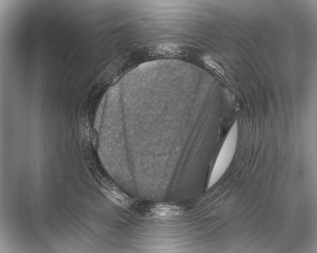 X0000067840617200605041651