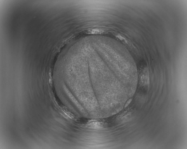 X0000067840620200605041651