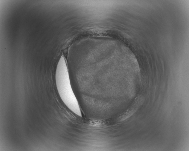 X0000067840624200605041651