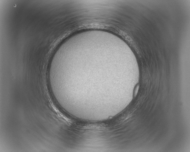 X0000067840625200605041650