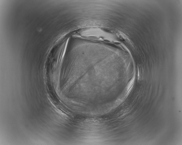 X0000067840627200605041650