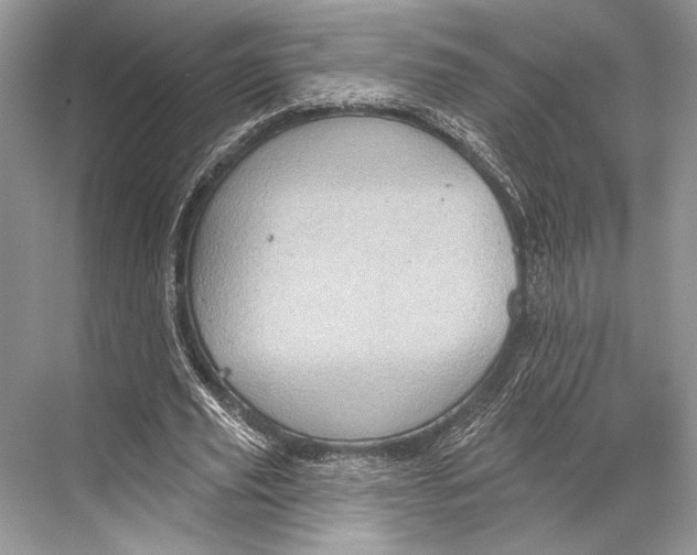 X0000067840629200605041650