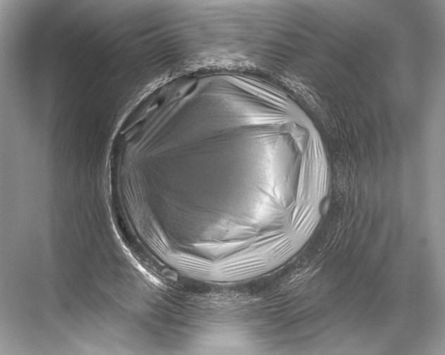 X0000067840630200605041650