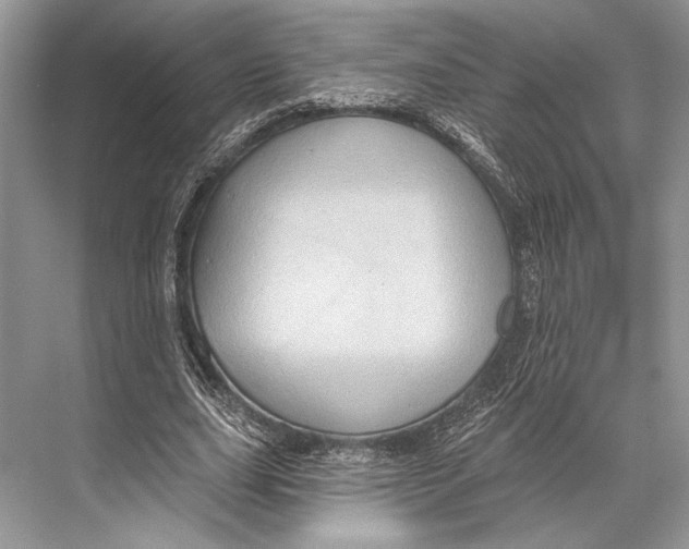 X0000067840631200605041650