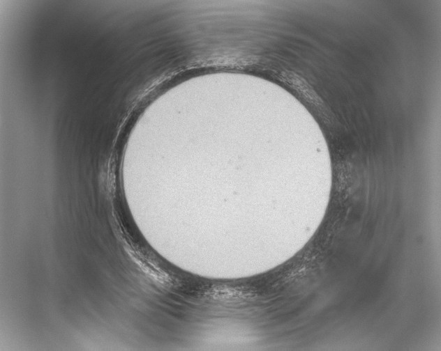 X0000067840632200605041650