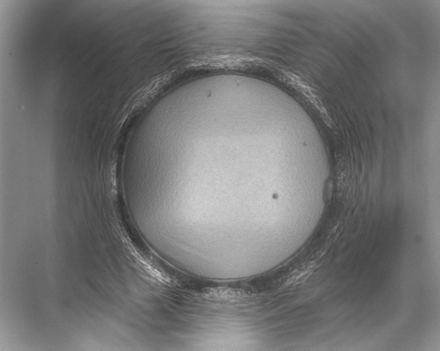 X0000067840633200605041650