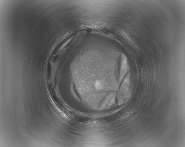 X0000067840634200605041650