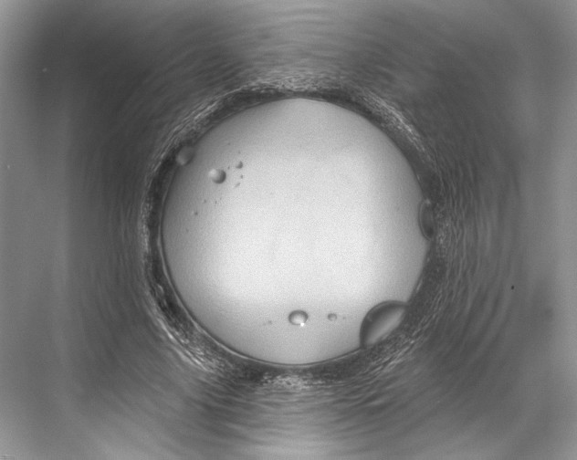 X0000067840635200605041650