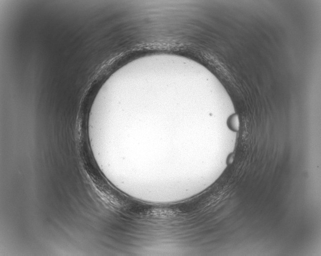 X0000067840636200605041650