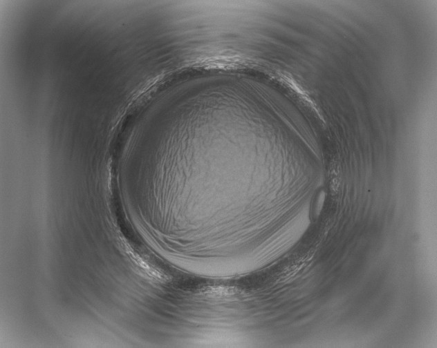 X0000067840637200605041650