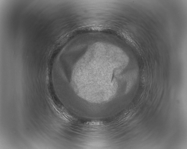 X0000067840639200605041650