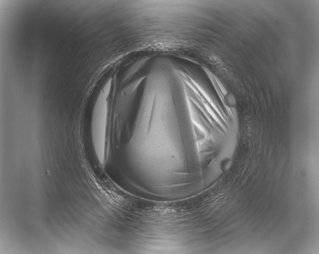 X0000067840640200605041650