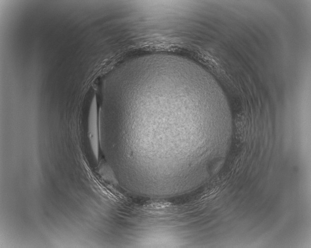 X0000067840642200605041650