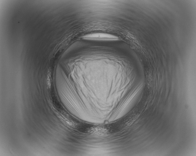 X0000067840644200605041650