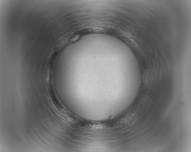 X0000067840645200605041650