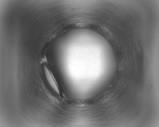 X0000067840646200605041650