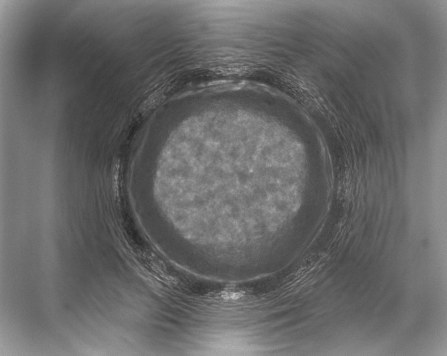 X0000067840647200605041650