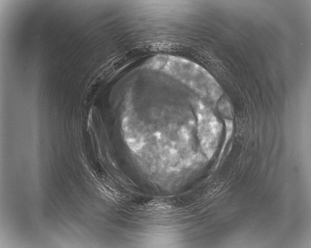 X0000067840648200605041650