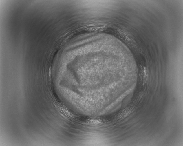 X0000067840649200605041650