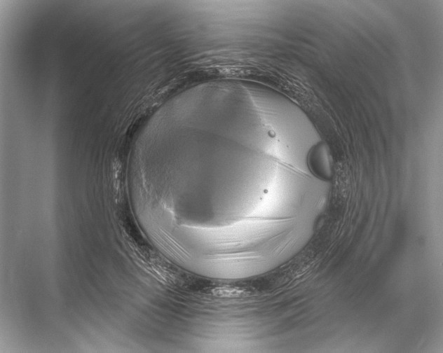 X0000067840650200605041650