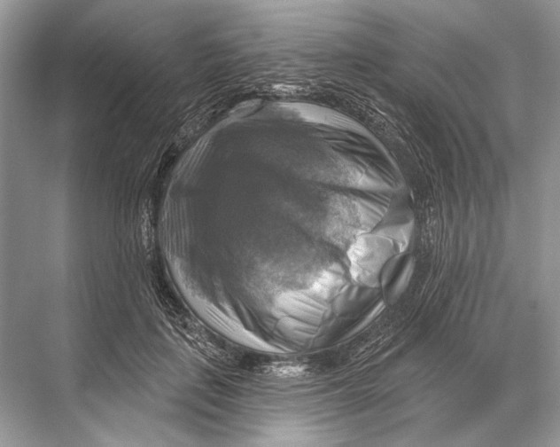 X0000067840651200605041650