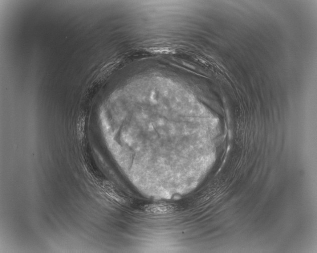 X0000067840652200605041650