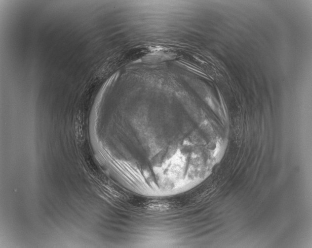 X0000067840653200605041650