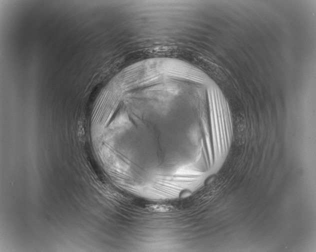 X0000067840654200605041650