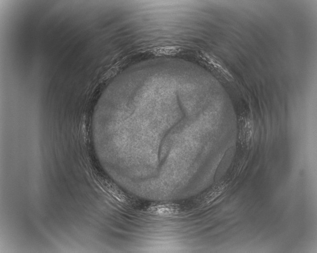 X0000067840655200605041650