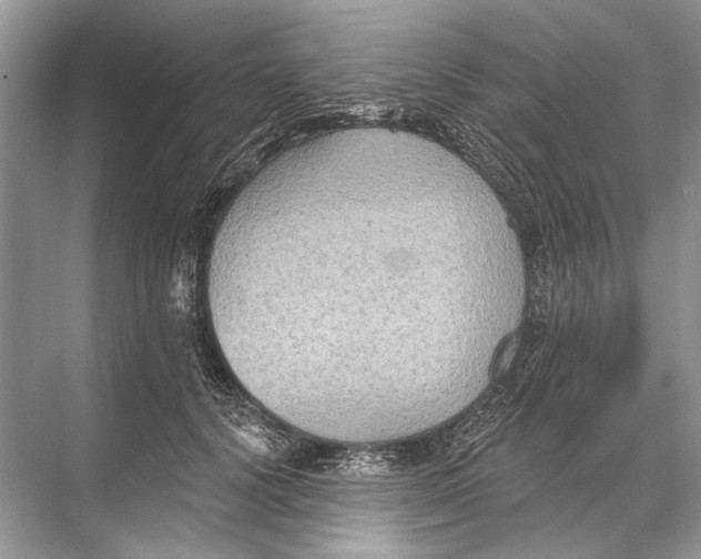 X0000067840656200605041650