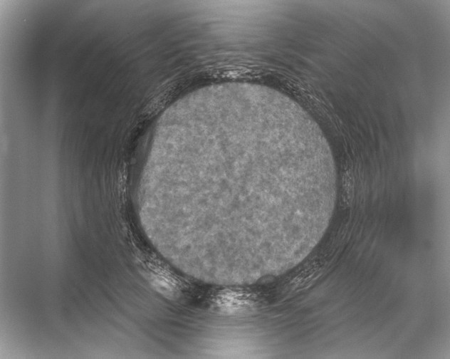 X0000067840657200605041650