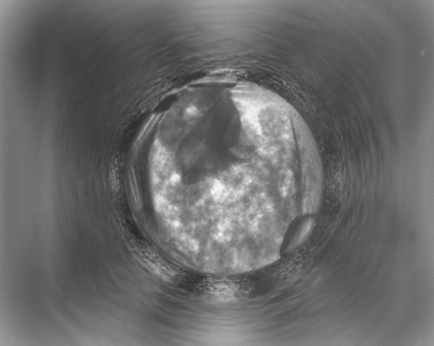 X0000067840658200605041650