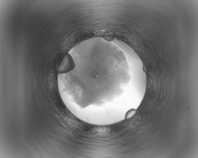 X0000067840659200605041651