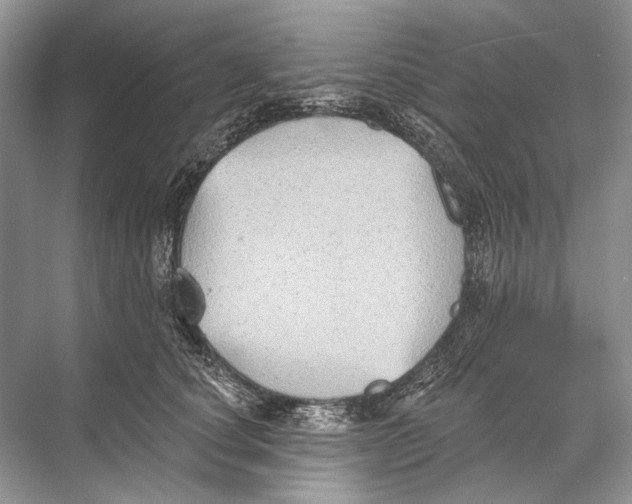 X0000067840660200605041651