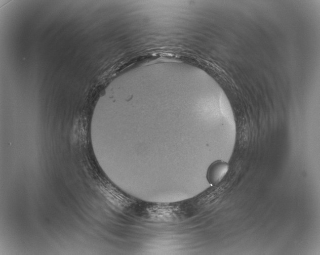 X0000067840661200605041651