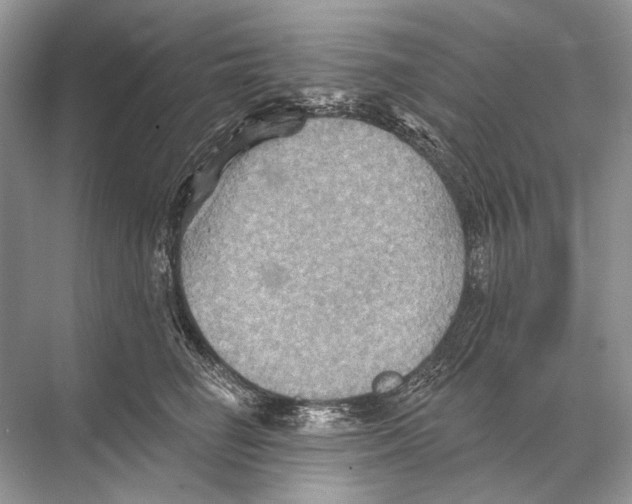 X0000067840662200605041651