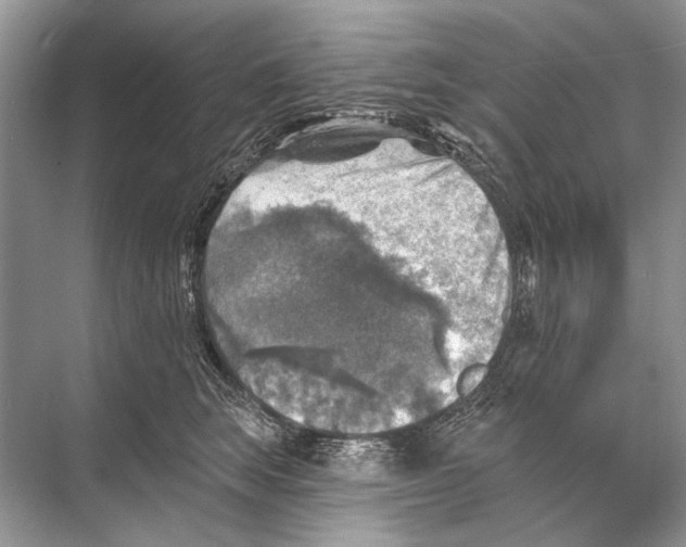 X0000067840663200605041651