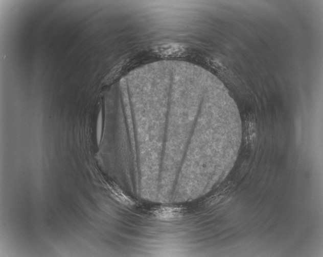 X0000067840664200605041651