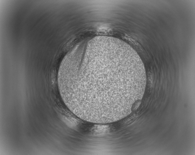 X0000067840665200605041651