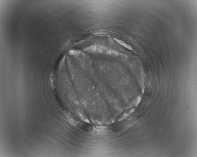 X0000067840669200605041651