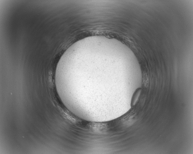 X0000067840670200605041651