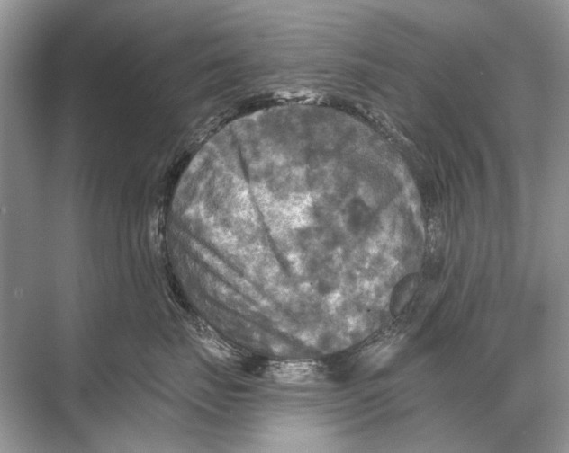 X0000067840671200605041651