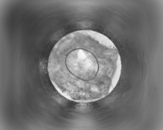 X0000067840672200605041651