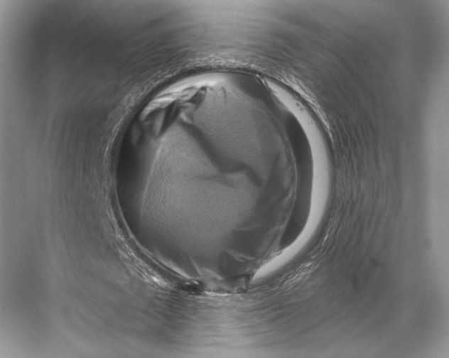 X0000067840673200605041650