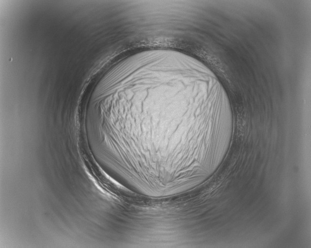 X0000067840674200605041650